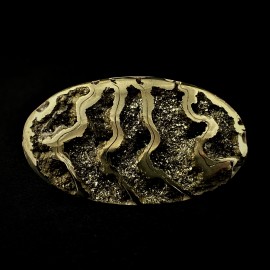Pyritised ammonite