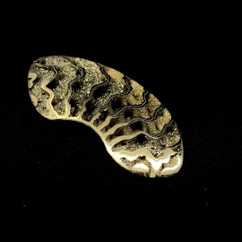 Ammonite piritizzata