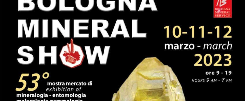GIOGEMS al Bologna mineral show 2023