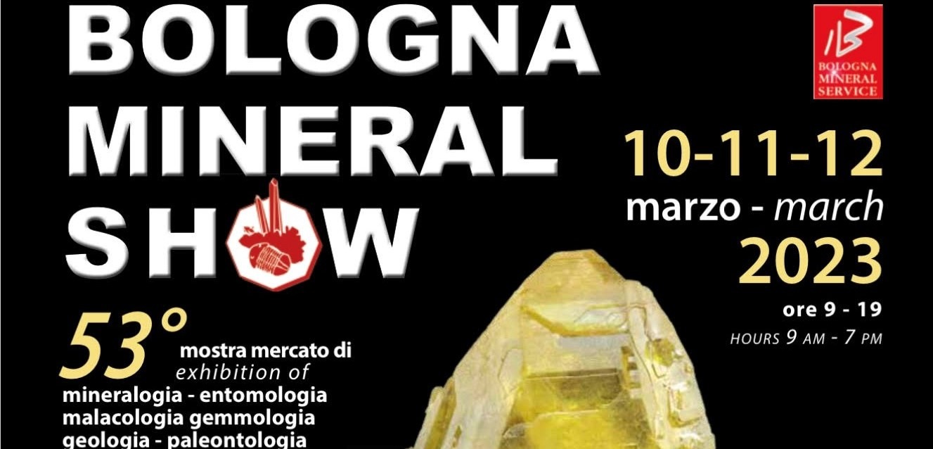 GIOGEMS al Bologna mineral show 2023